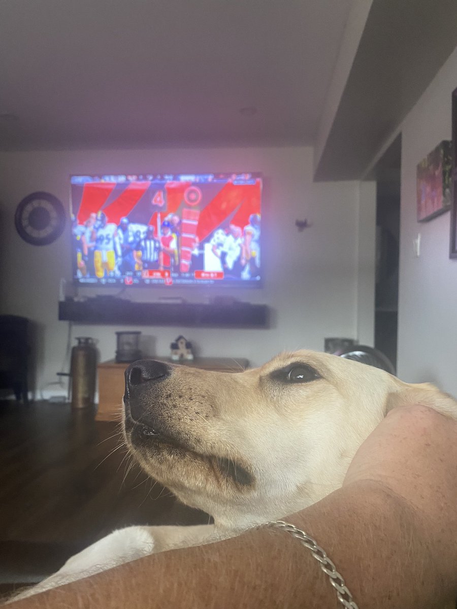 #HereWeGo #yellowlab #NFL #GoSteelers