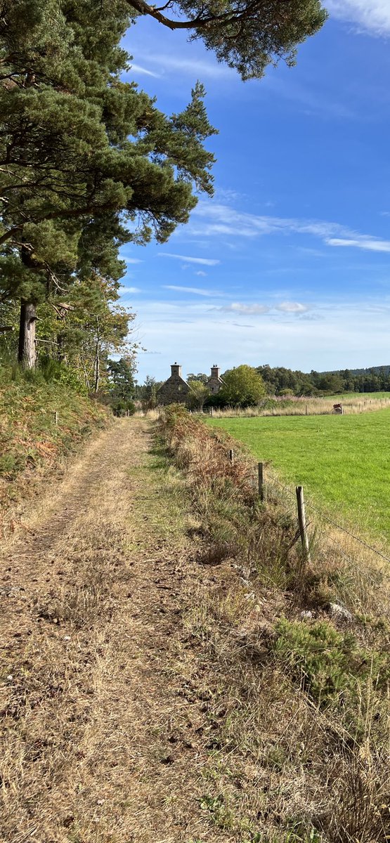 A view of Hugh’s Cottage at the back of Piperhill. Hopefully one day it’ll be redeveloped.