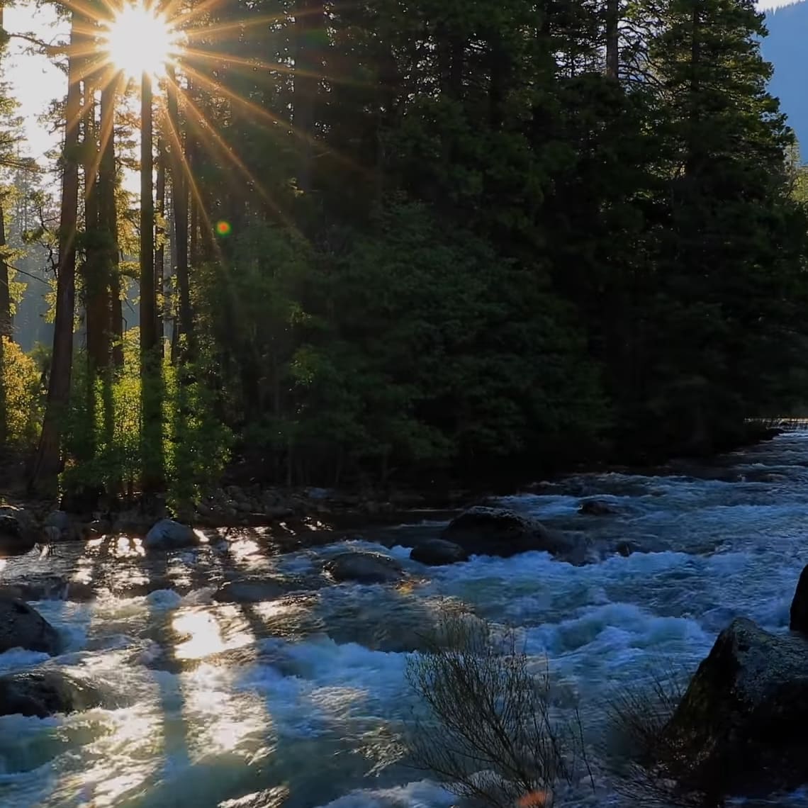 Evening..
.
.
#cute #PictureOfTheDay #picture #Naturelover #Photooftheday