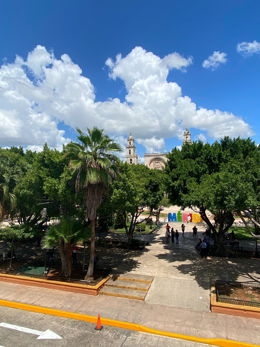 RenanBarrera's tweet photo. Esta ciudad inspira al arte, la creatividad y la calidez. ¡Como #Mérida no hay dos! 👌🏼

📸: fridazamudio_ https://t.co/m9tk4dGMHl