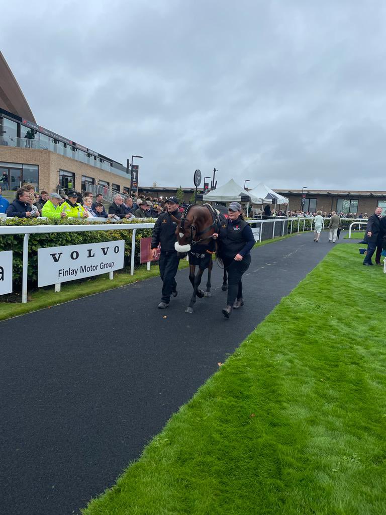 We were so thrilled to have some CHAMPIONS parade at @curraghrace today! Here are just some ⭐️ at @IrishChampsWknd 
#TigerRoll #OneforArthur #GeneralPrinciple #Douvan #HurricaneFly #SeaTheLion #RoyalDiamond #AlfredoArcano