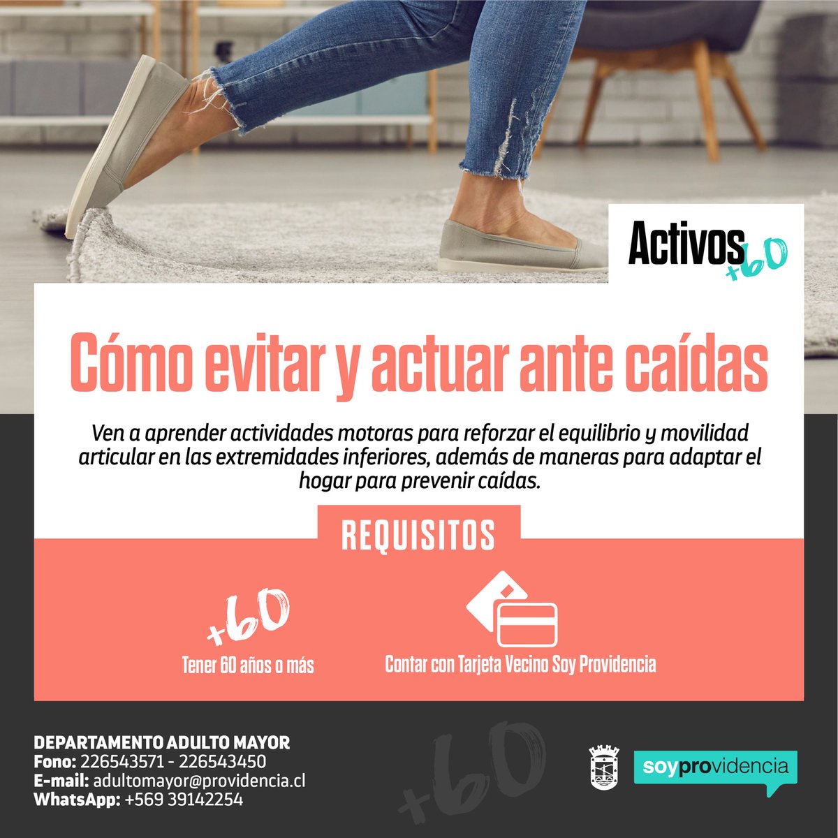 Muni_provi's tweet photo. ACTIVIDADES MAYORES 60+👵🏽👴🏻
¡Revitalizando tu día!💪🏽En @Muni_provi, invitamos a los #vecinosmayores, a aprovechar los días #primaverales, con los talleres gratuitos, del depto. de #AdultoMayor, solo con #TarjetaVecino. Inscripciones al mail o teléfono.👇🏽🧐 https://t.co/NcDXidyUKE