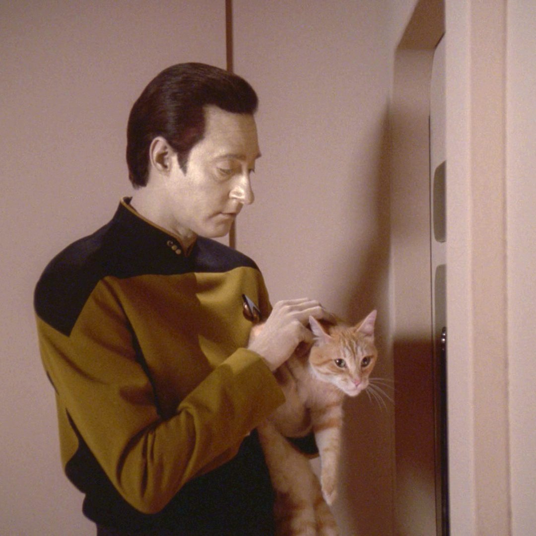 TrekQuiz's tweet photo. Data had a cat. What was its name?
A Spot
B Cat
C Whiskers
D Porthos
Do you know the answer? Let us know in the comments!
#TrekDating #StarTrekDating #StarTrekQuiz
#startrek #trekkie #startrekdiscovery #spock #scifi #startrektos #starfleet #livelongandprosper #captaink https://t.co/f85hlL3DOr