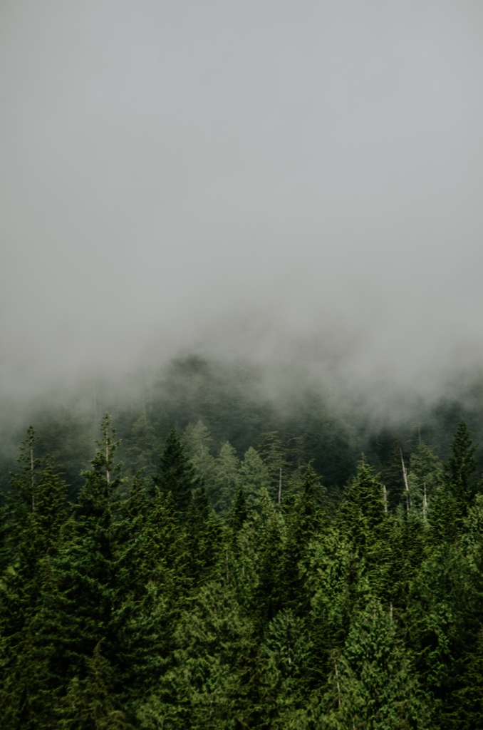 WILDFIRE AT STAVE WEST UPDATE - PLEASE NOTE: Mission Fire Rescue Service attended an active wildfire along Stave West at the 20-21 km mark, outside City limits. The fire is not near any infrastructure. 

Coastal Fire remains on scene.

‼️Please stay clear of this area ‼️