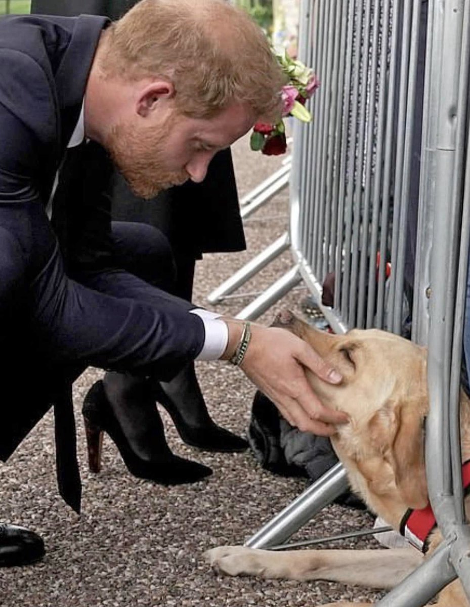 Prince Harry.