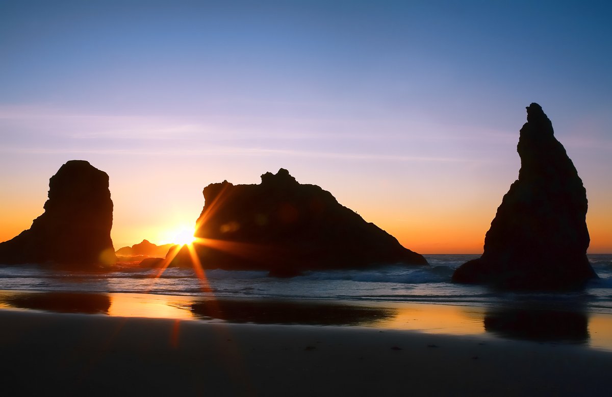 Anne McKinnell 🦅🐬🦁 🐻 tweet media