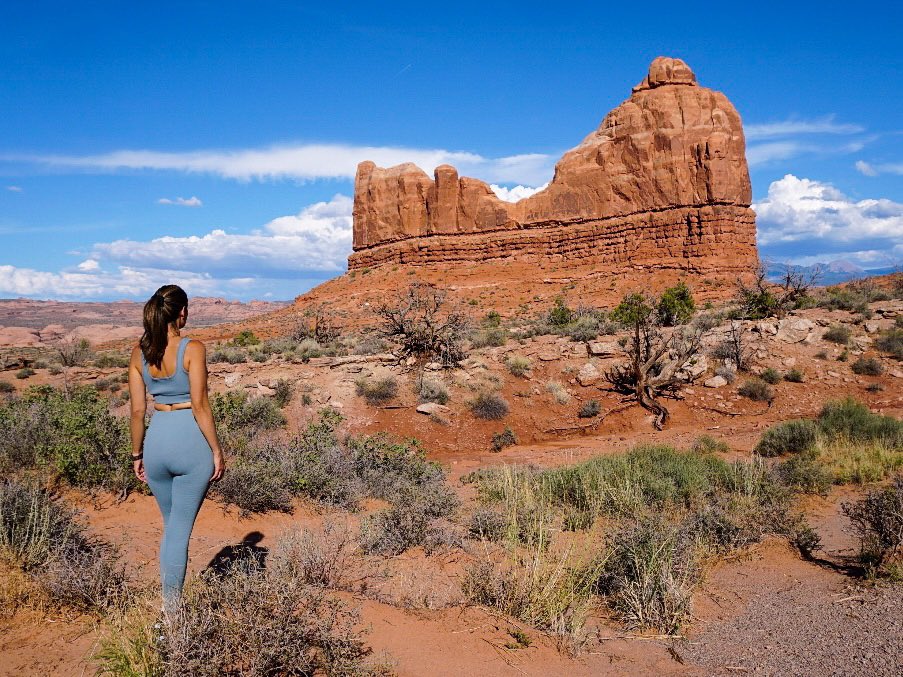 Competitive's tweet image. “To acquire knowledge, one must study; to acquire wisdom one must observe. “