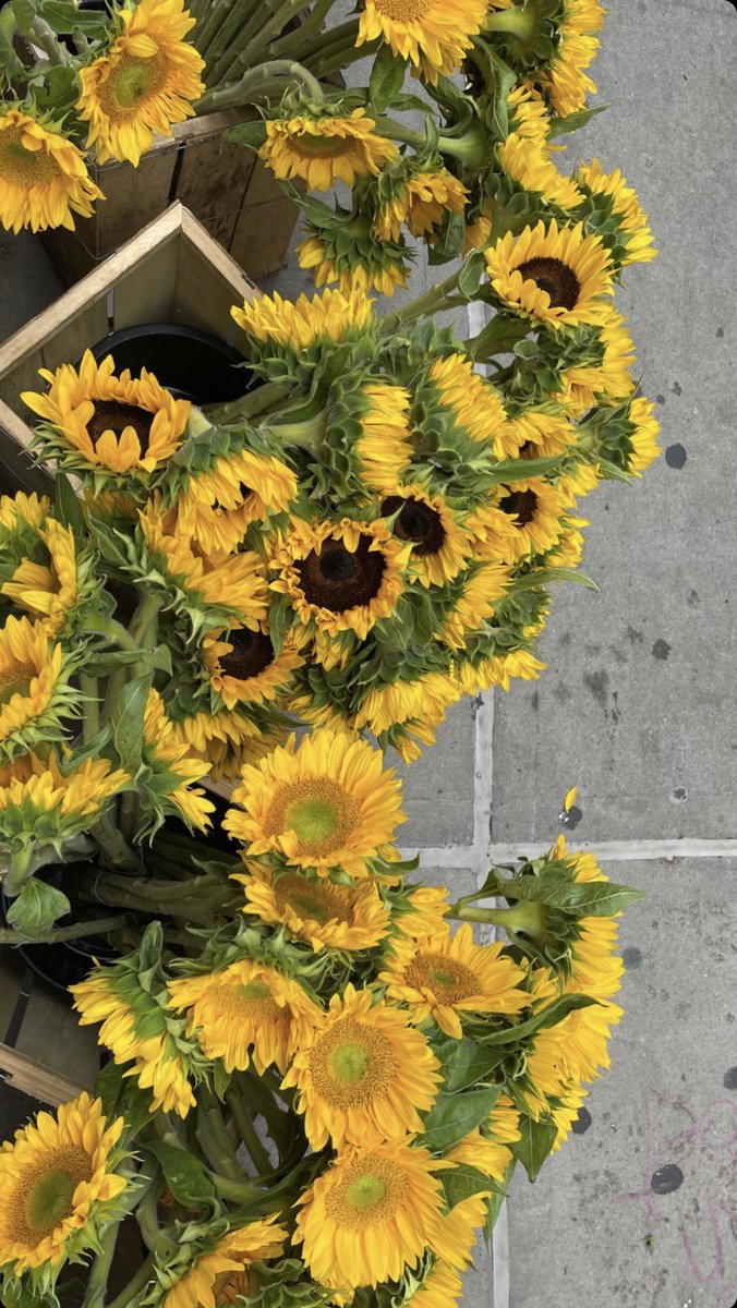 HadidGigiArg's tweet photo. Detalles de la tienda pop-up de Guest In Residence🌼💛 https://t.co/PMdDHlHhIO