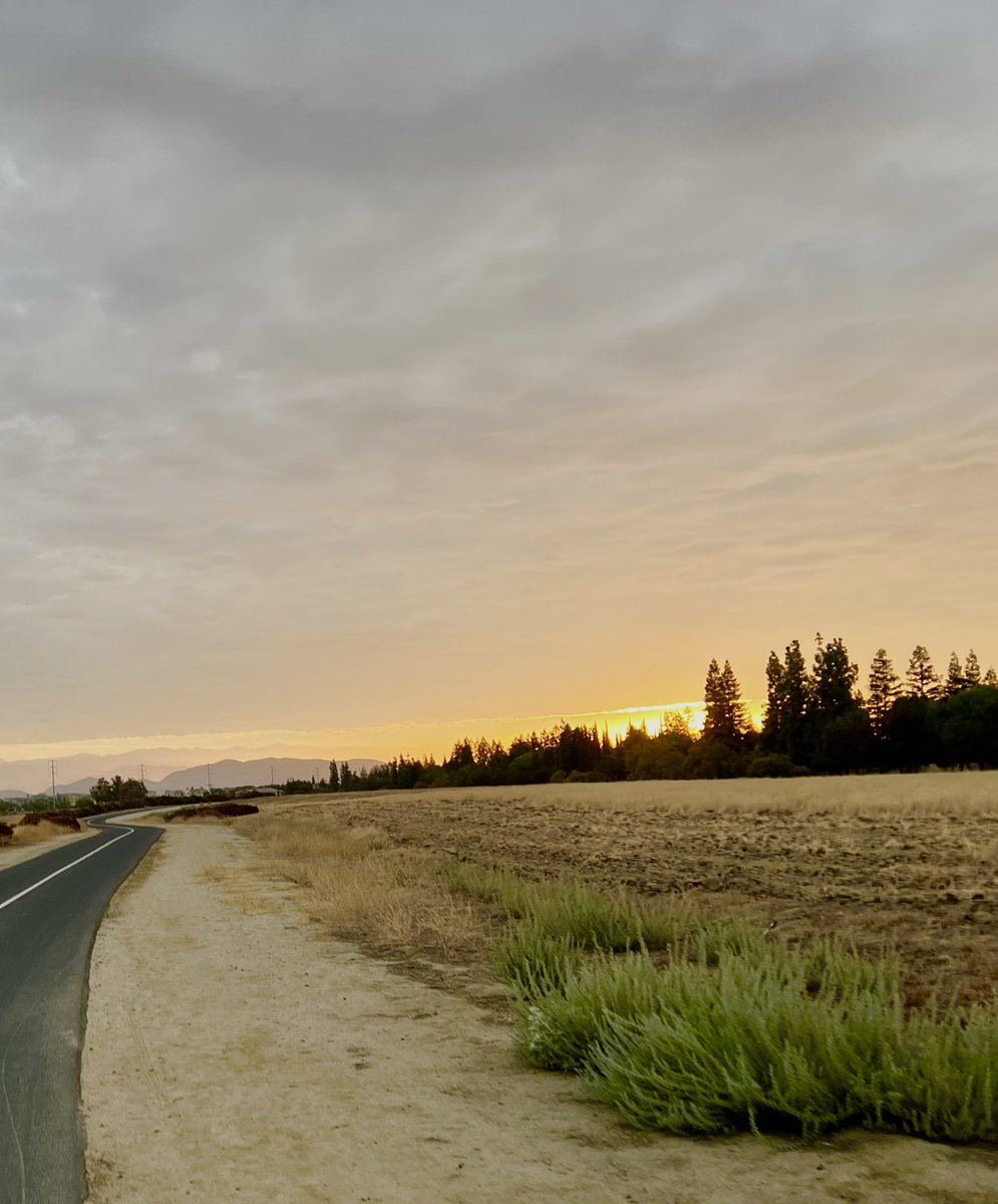 susalynn3's tweet photo. Morning run https://t.co/E6R08VhUyy