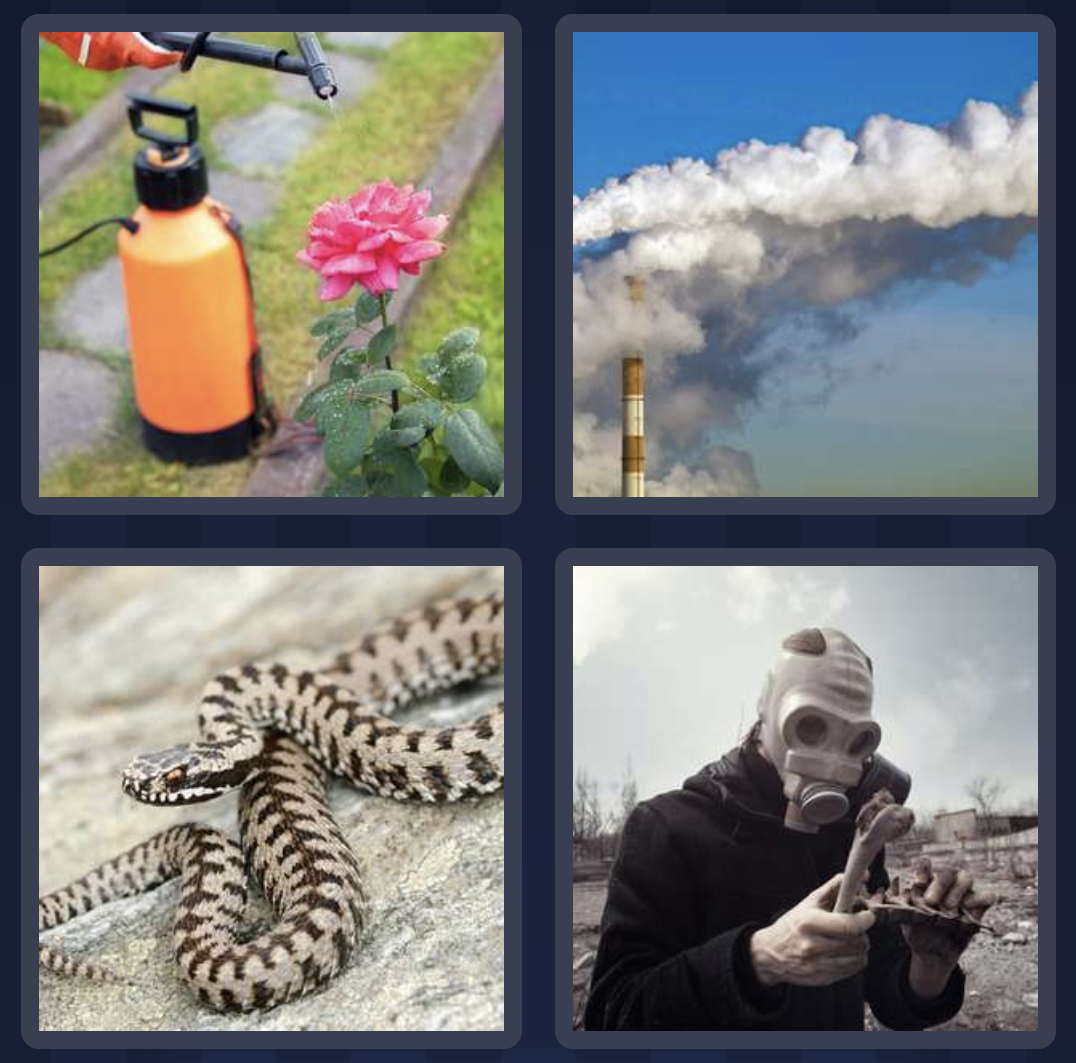 FotosPalabra's tweet image. 4 fotos 1 palabra serpiente, culebra, víbora, humo chimenea, hombre con máscara de gas, fumigando una rosa ¿cuál es la respuesta de este nivel? 
4fotos1palabra.pro/respuestas-6-l…