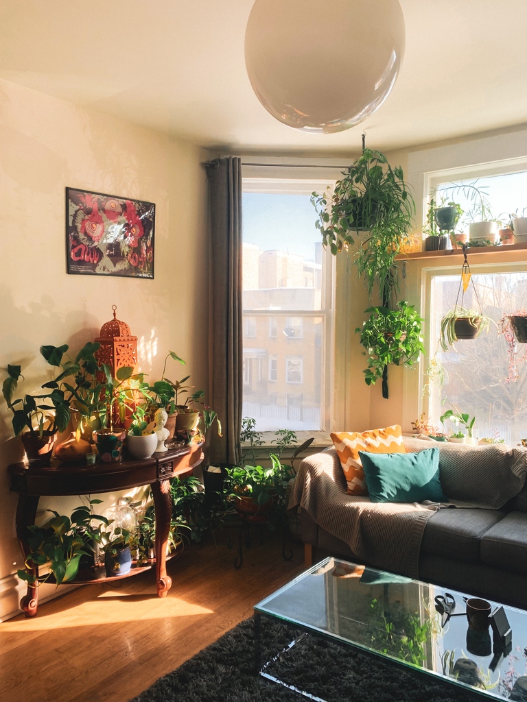 “There’s something really zen about potting plants or gardening in general. Forces you to be present in the moment and not being anxious about five million other things.” — Mary Marcella 🌿🪴⁠
⁠
⁠
#plant #growyourownfood #houseplants #plantlover  #indoorplants #plantlove