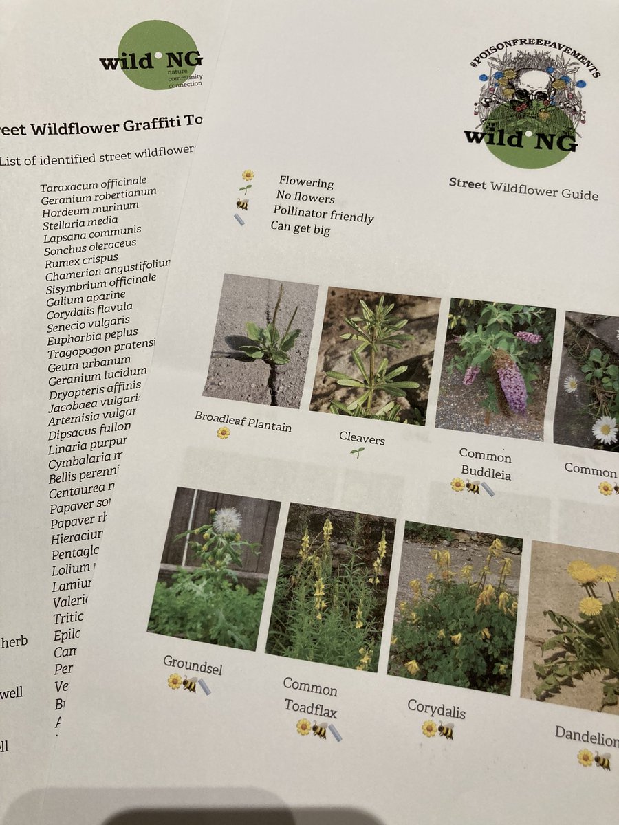 BeestonEco's tweet photo. Looking forward to identifying local wildflowers in our area  with this fab resource from @Wild_NG_ such a lovely and informative afternoon @NottmGreenFest today. Feeling positive once more 💚 https://t.co/IAnFsSUqYU
