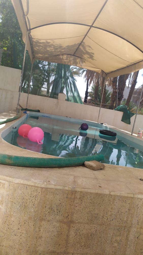 مين عنده جوال مايستخدمه استاجره منه ههههههههه