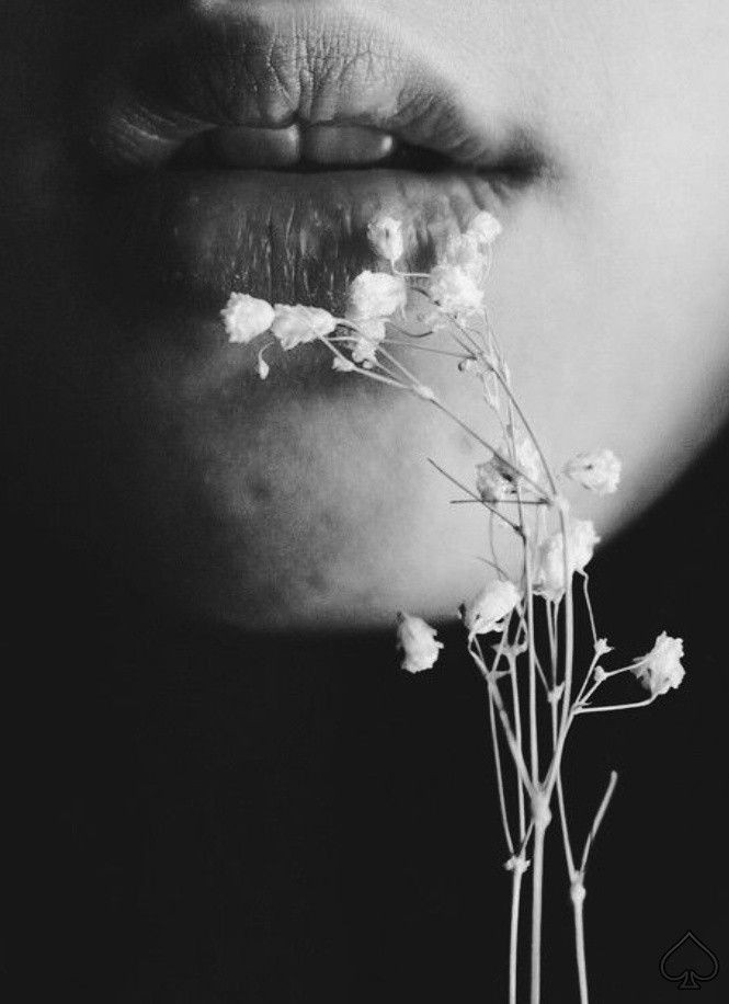 Papryka5's tweet image. Sessanta lune:  
i petali di un haiku  nella tua bocca.   
E. Sanguineti
#Mondodiversi 

#Buonanotte #TwitterFriends 

Buona nuova settimana a tutti