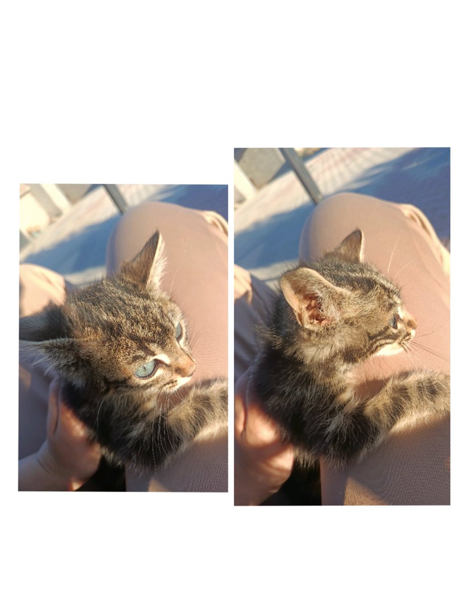 7ugbaaa's tweet photo. 🫠🥰🥺 https://t.co/taLMQXpIfg