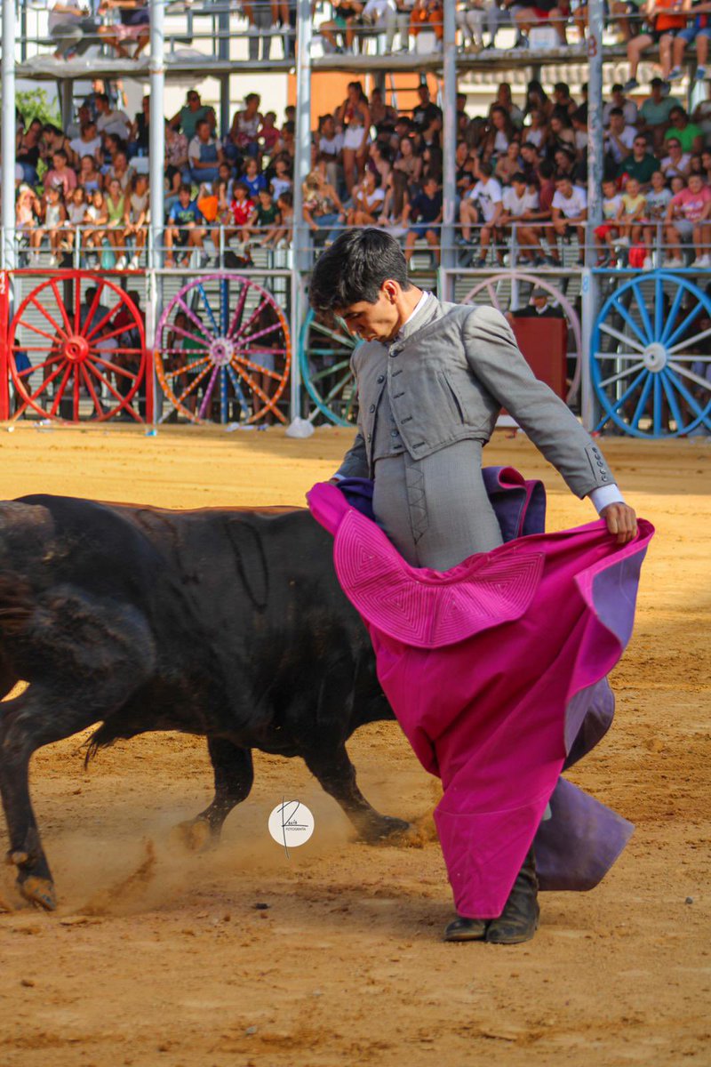 7 TOROS 7 tweet media