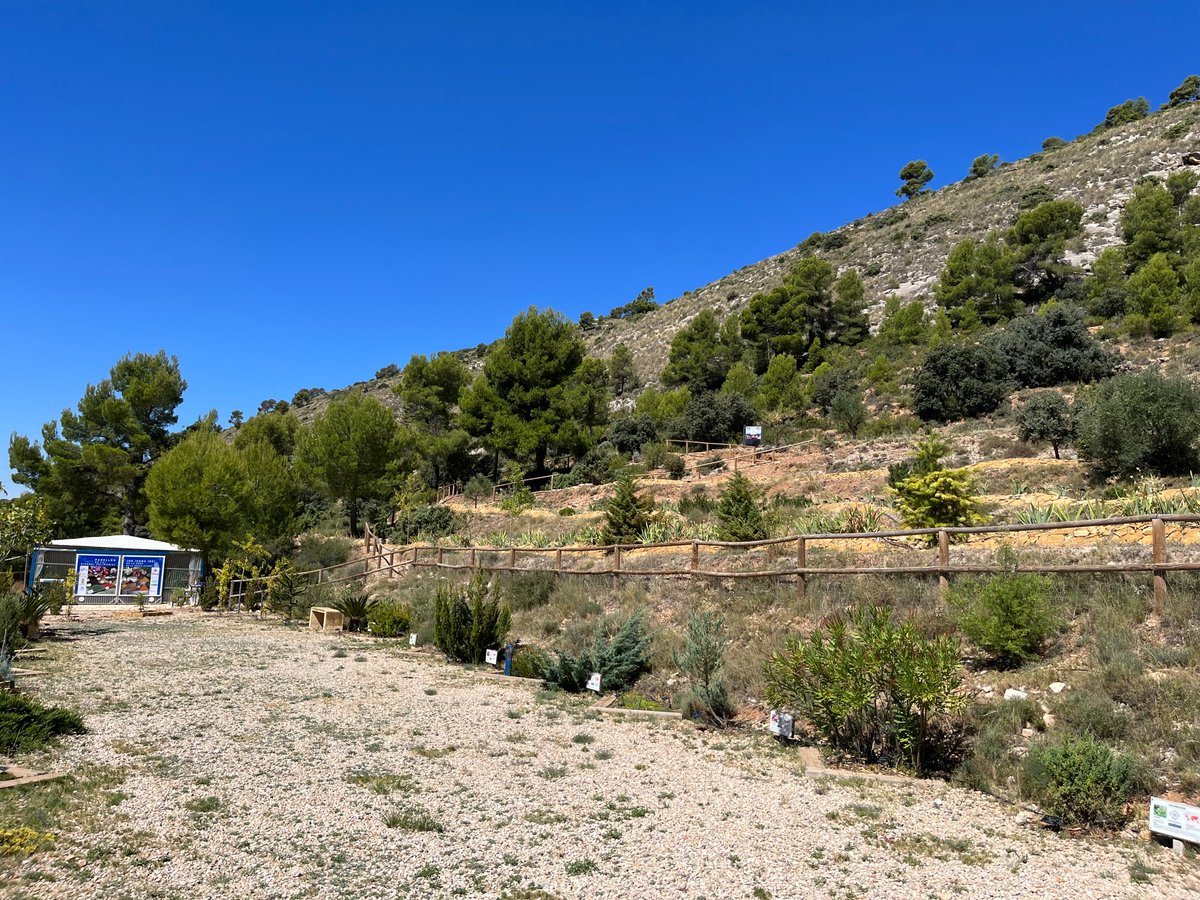 Ciencias_UA's tweet photo. Recomendamos fuertemente la visita en Ibi a la Estación Biológica Torretes - Jardín Botánico de de la @ua_universidad. El trabajo que se realiza allí es enorme.
#UA #ciencias_ua #JardínBotánico #Torretes #EstacionesCientíficas #Ibi https://t.co/uRLlqRdMs3