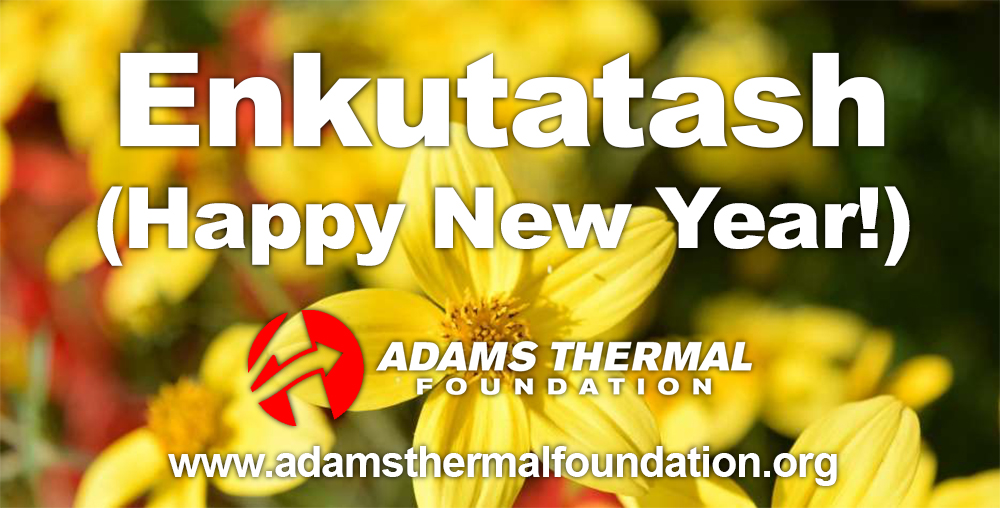 AdamsThermalFdn's tweet photo. Today is New Year's, but only in Ethiopia. They have continued to use the same calendar that the Roman church amended in 525 AD. The Ethiopian calendar is 13 months, so today is the 1st day of 2015. The yellow Meskel flower is an important part of the Ethiopian new year. https://t.co/wNaDge102r
