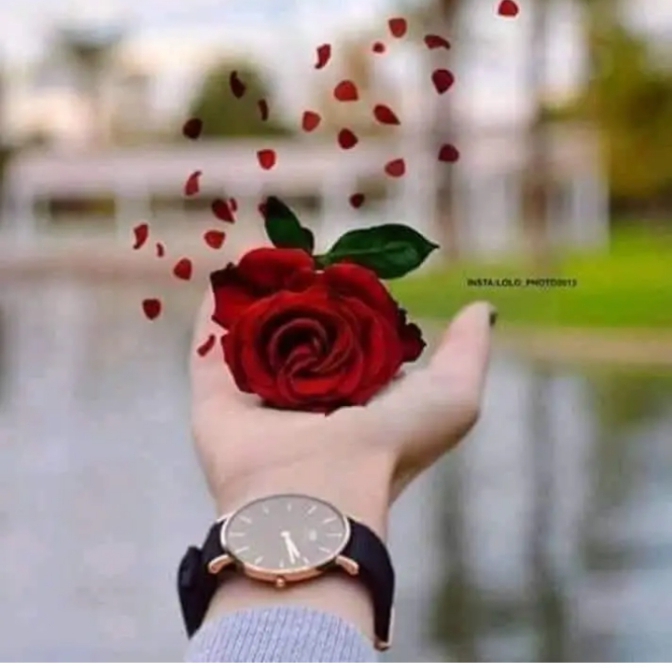 3Rivana's tweet photo. #تاروت ريفانا
فاعلية المرتبطين فقط 
مشاعره ومزاياه تجاهك اختاروا بين الصورتين لمعرفة مشاعره الحقيقيه https://t.co/jD69tTW3Ev
