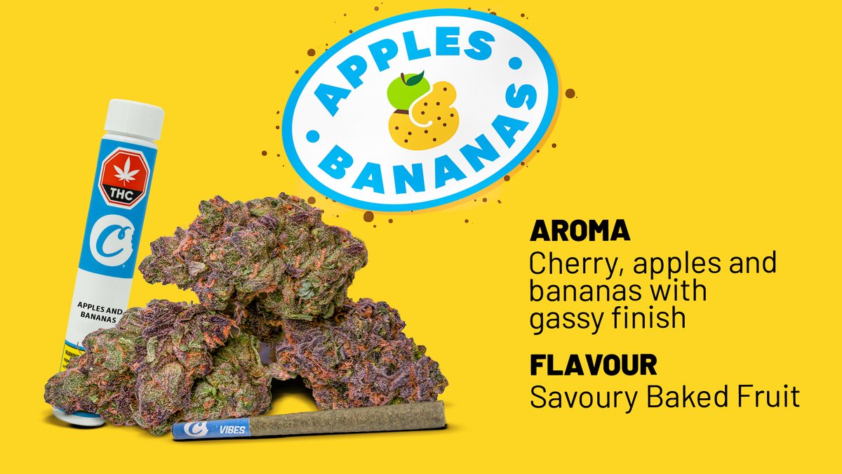 Cookies 🍪 on Twitter "{ Apples & Bananas } from cookies_canada has a