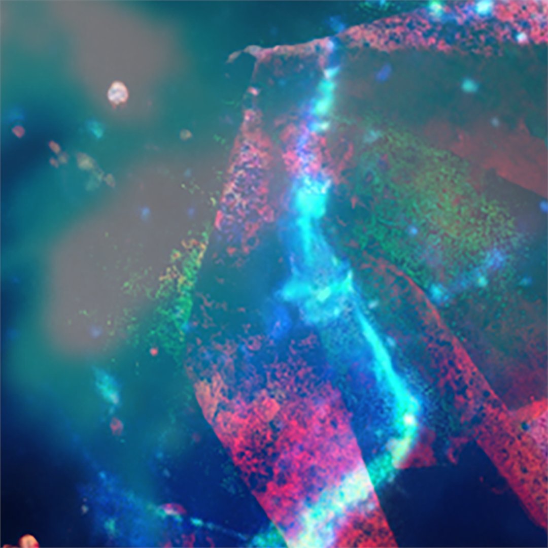 modedebo's tweet photo. Detail shots of new Enigma Enchantments card dropping for dividend card holders.
#anquish #fauxsogs https://t.co/0WXaMFY7Tb