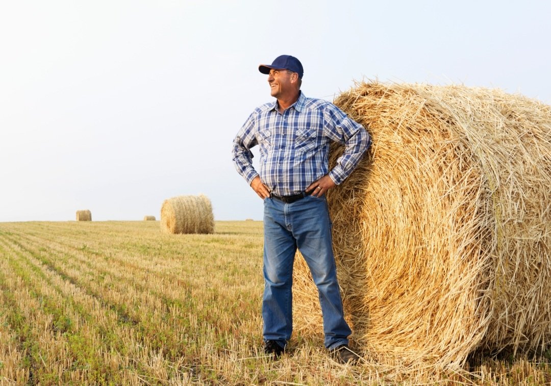 This farmer isn't just good at his job, he's OUT STANDING in his field!
#drumroll #dadjokes #farmer #forlaughs #takecomedyseriously #funny