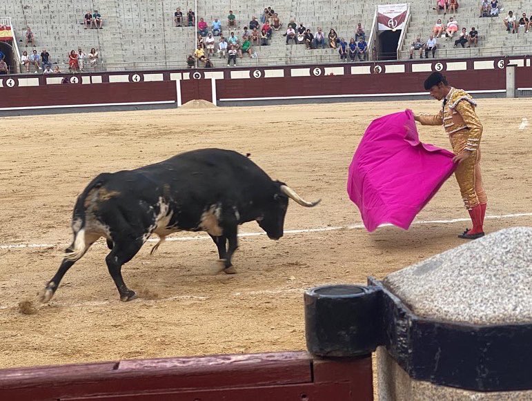 PPopular_Rivas's tweet photo. El Partido Popular de Rivas Vaciamadrid ha estado presente en la plaza de toros de Las Ventas apoyando la tauromaquia y las tradiciones españolas 👏🏼🐂💙🇪🇸

@JanetteNovo https://t.co/0kBdsr2b7Z