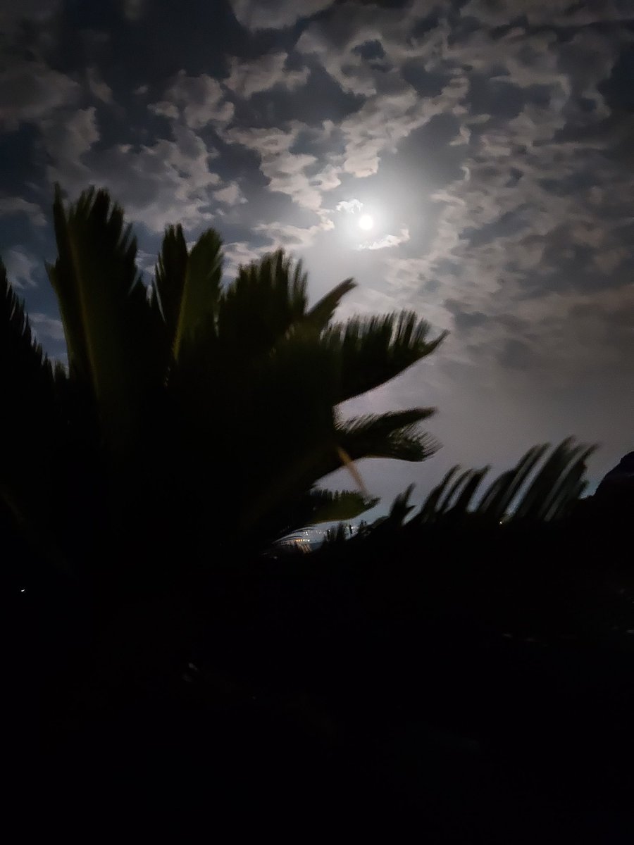 abusami75's tweet image. 