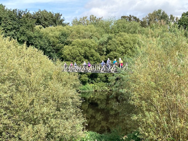 EildonRamblers's tweet photo. Out on the #Harestanes/ #NisbetCircular 14 walkers enjoyed the glorious sunshine on the walk today. Sharing the path with riders from the #ScottishEnduranceChampionship ride out. Maureen led the walk and Frank back marked and took the photos.
@ramblersscot @ramblerGB #Borders https://t.co/wuylYgNGHB