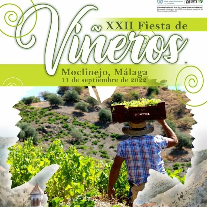 👉🏻Exposición itinerante en la Fiesta de Viñeros, Moclinejo.
 #rutaxar #experiencias #sipam #rutadelapasa #CONCURSO #pintura #moclinejo #axarquia #Malaga 
@SaboraMalaga @diputacionMLG @moclinejo @dimobebodegas @TurismoAXAR @vinos_malaga