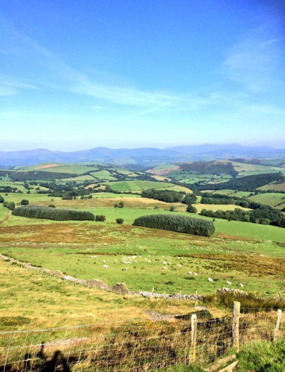 Rhidian Glyn tweet media