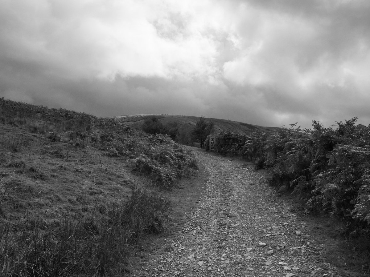 Don’t stray off the path #photography #blackamdwhite