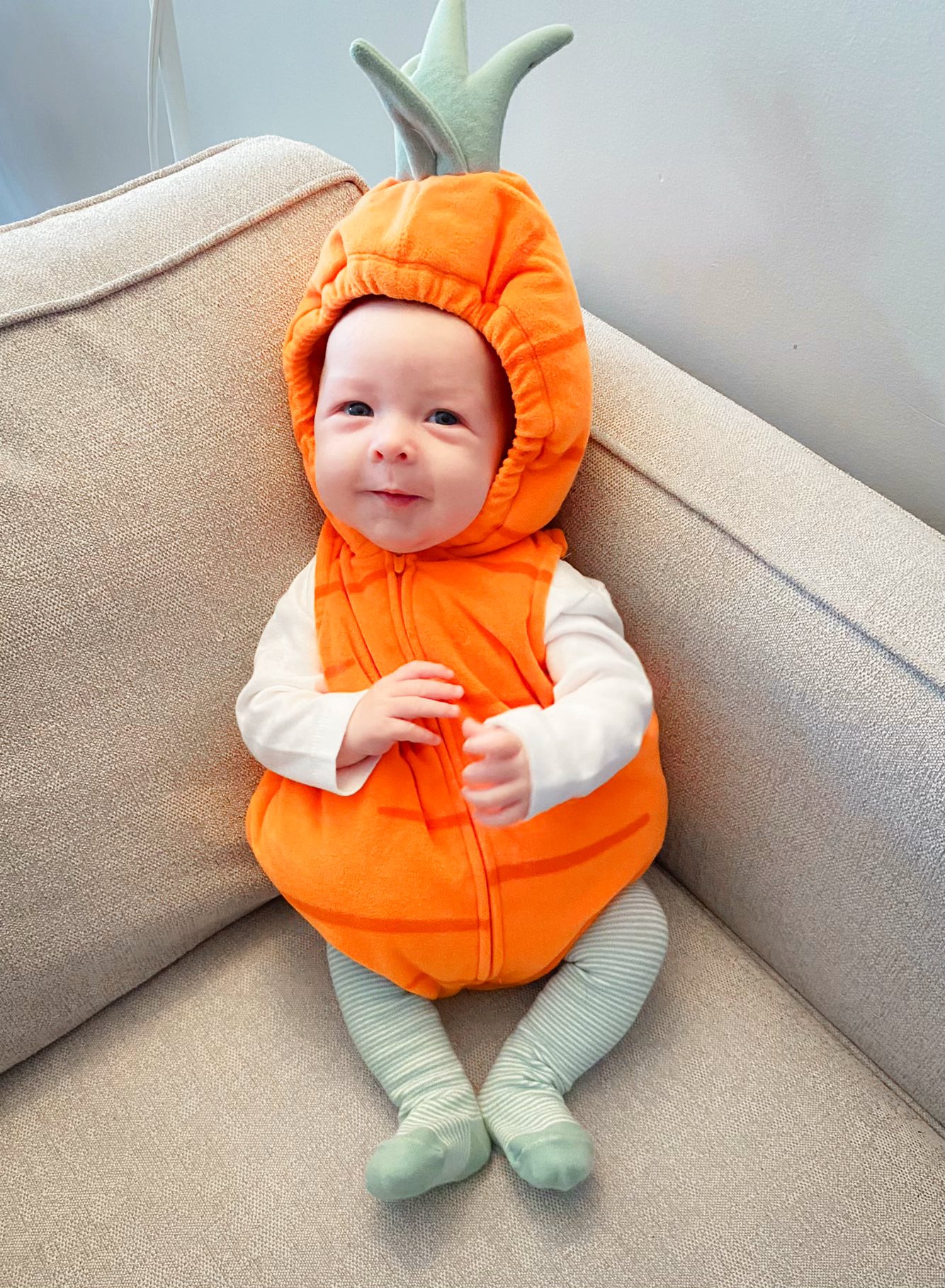Infant carrot sale costume