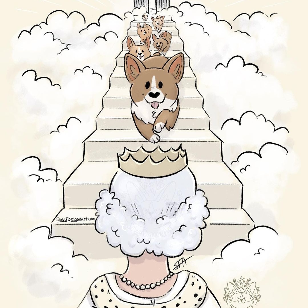 Corgi Lovers Club 🐶 (@CorgisLoverClub) / Posts / X