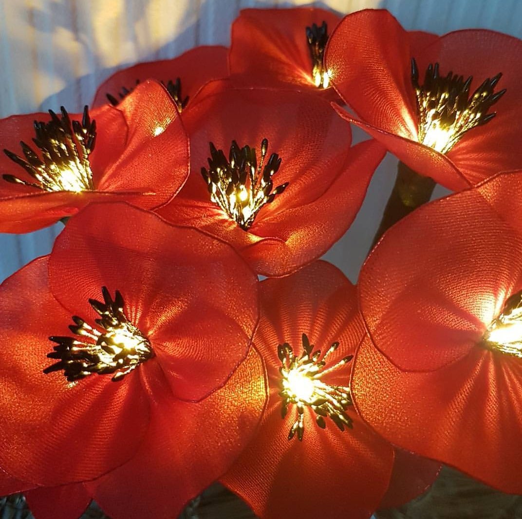 annagti93's tweet photo. Just a few of the flower fairy lights I make you can find these and others in my shop https://t.co/HywBDMcpmv #handmadehour #handmadenation #handmadebyme #handmade #decorative #led #fairy #lights #giftideas #love #flowers https://t.co/LSnNMT8h4t