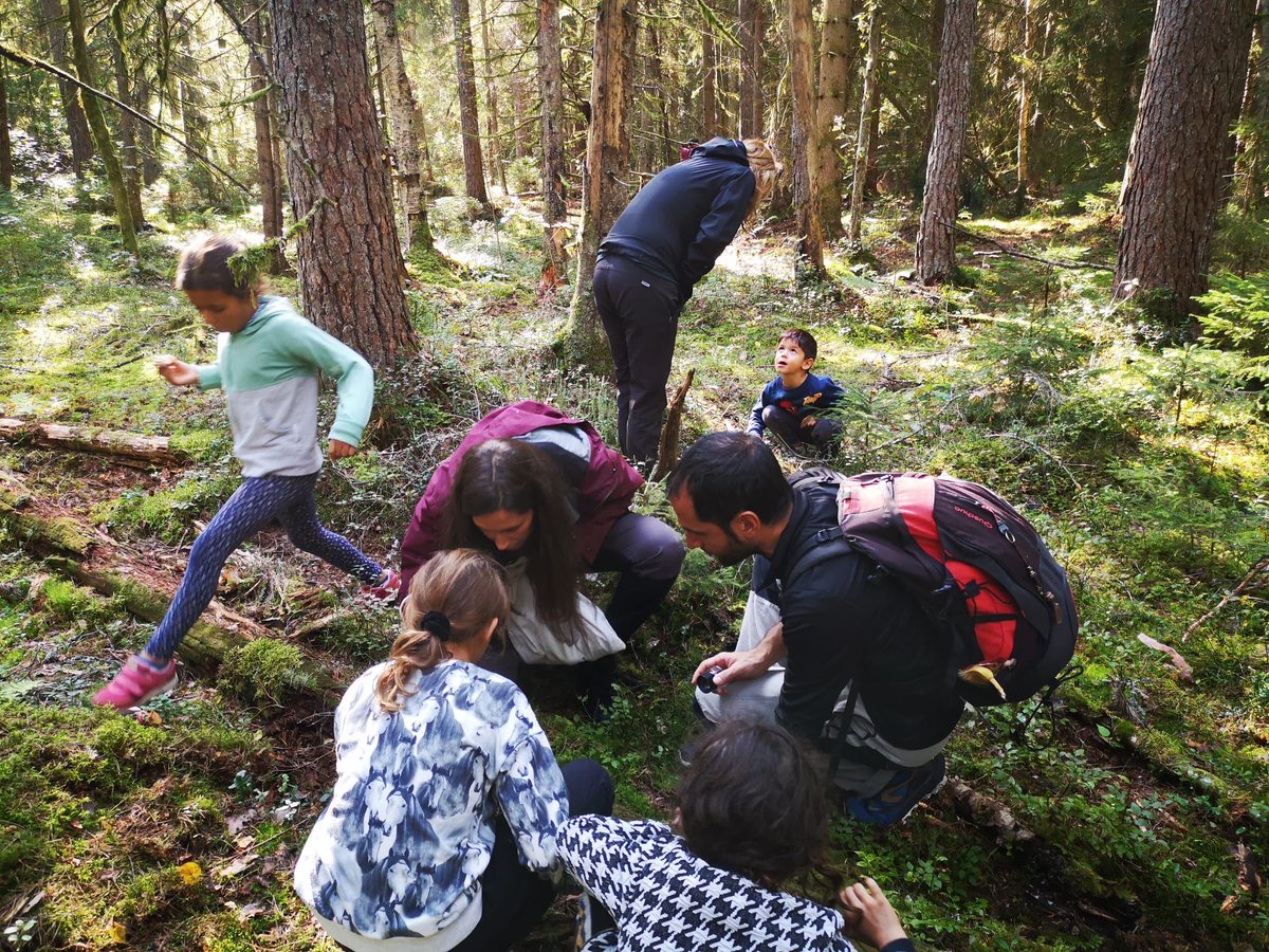 AceitunoAmanda's tweet photo. Great weekend with our dear friends getting to know the small and colorful living beings maintaining the forests in Örebro, Sweden 🍄. Kids enjoyed discovering #mushrooms using magnifying glasses. Plus: we had a lovely train journey from Stockholm 🚊#smallisbig #holdinghope https://t.co/zENIRdb981