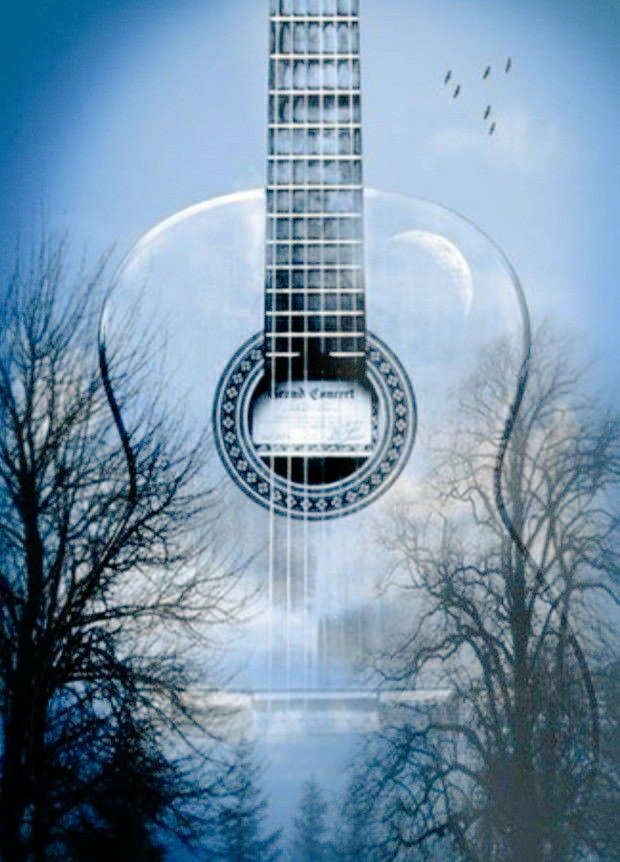 Martina Dörner tweet media