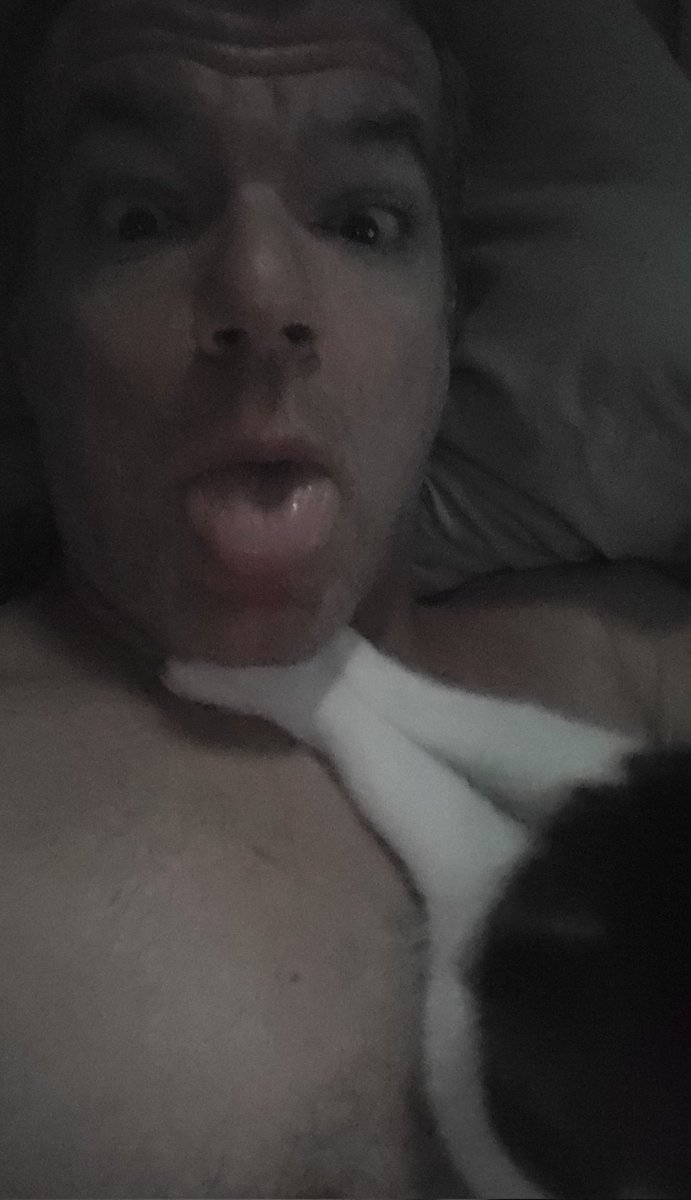 Pterodactyllib's tweet photo. How I woke up today....next time I won't go to bed with a half empty food dish. #message #cat #Dinkleman #halfdishesgetstitches #iseenthelight #makeitfancylikethecatinthecommercial https://t.co/4AjeVwGJCK