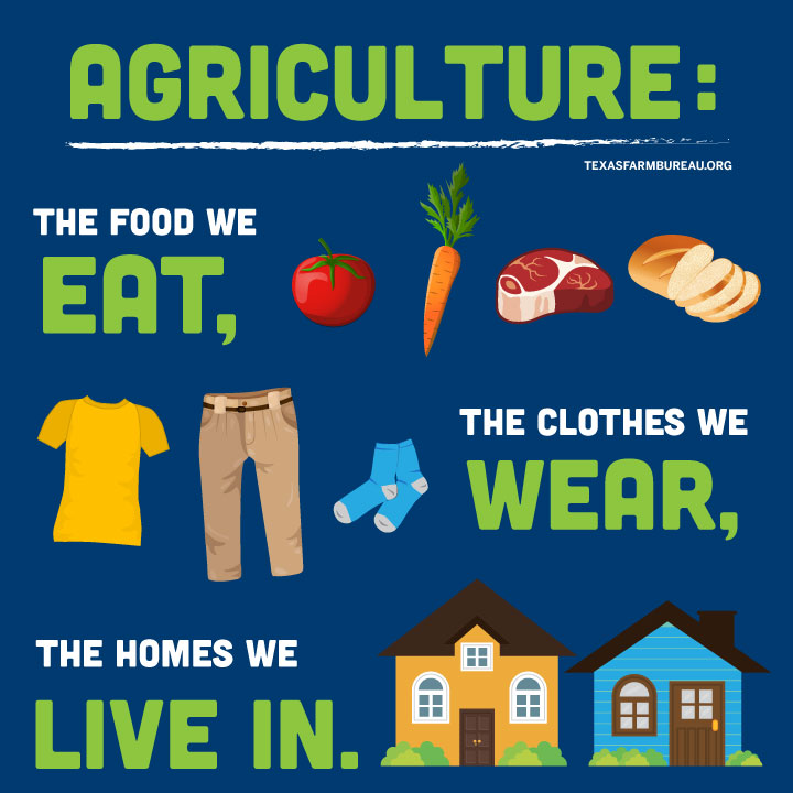 Agriculture is everywhere. 

It’s the fabric of our clothes. Fuel in cars. Foundation of our homes—lumber, paints, brushes. 

It’s textbooks and desks in our classrooms. 

Shampoo and cosmetics? That’s ag, too. 

See more of ag in your life: txfb.us/TTT032620