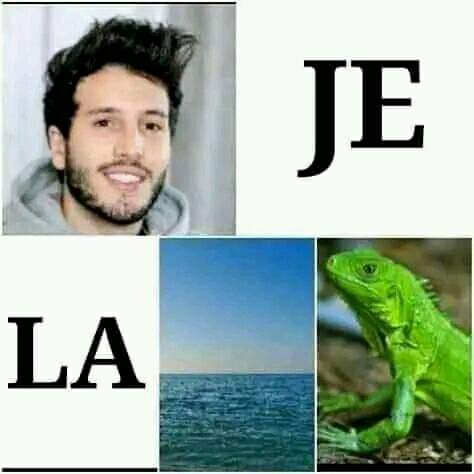 Jjajajajajajajajajaja
-A