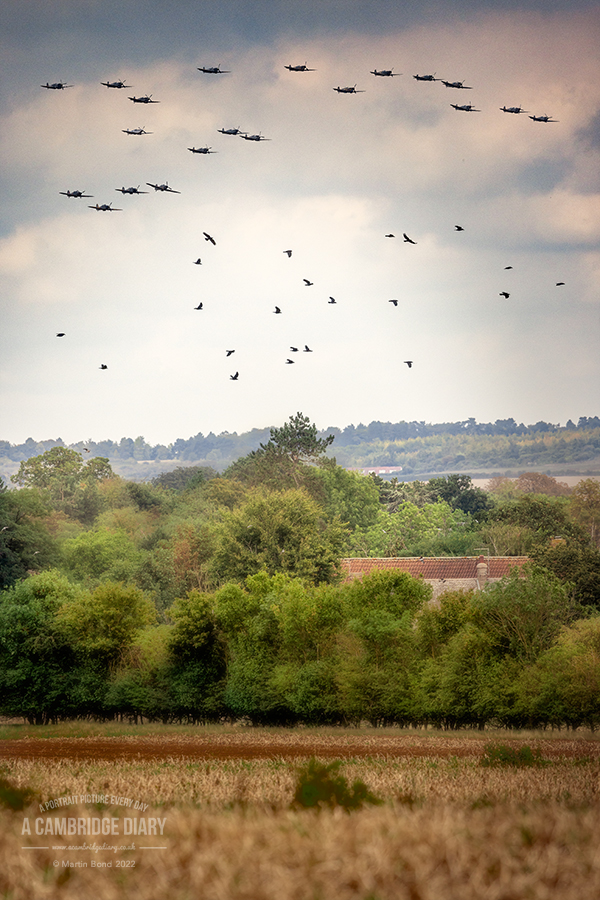 A Cambridge Diary tweet media