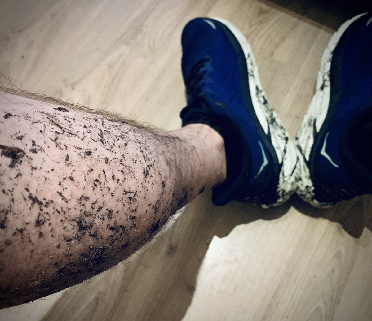 Davedee109's tweet photo. Deciding to go for an evenings run on the wet forest trails, was a wonderful idea…:) #trailrunning #rain #ukrunchat #runchat @OranKane @runnin_matt @great2run https://t.co/tPBo5ojSor