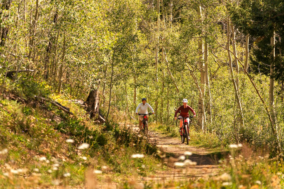 Hop aboard our state-of-the-art Orbea mountain bikes this fall for a guided tour tailored to your level of ability and interests, from thrilling downhill rides through aspen and alpine forests to more mellow, meandering trails.https://t.co/Vhys7wzaQa #SantaFe #FourSeasons https://t.co/0hEyynugyF