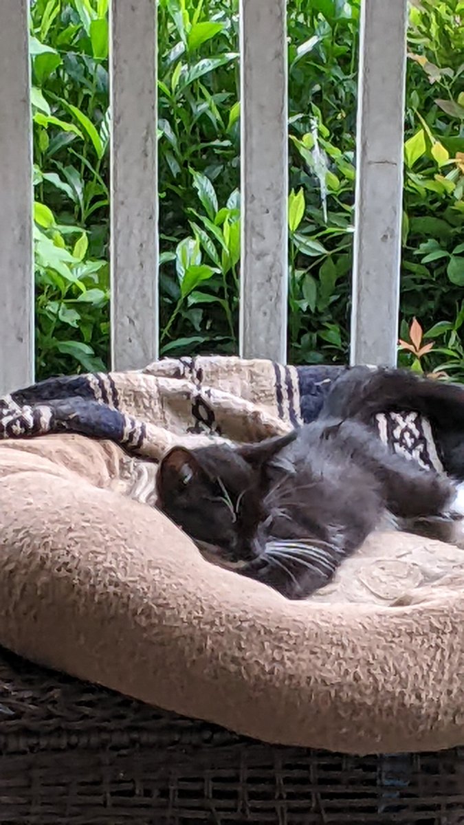 Lazy Sunday