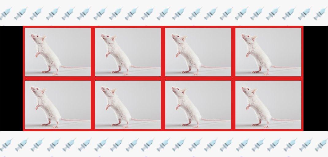 Dr. Eli David tweet media