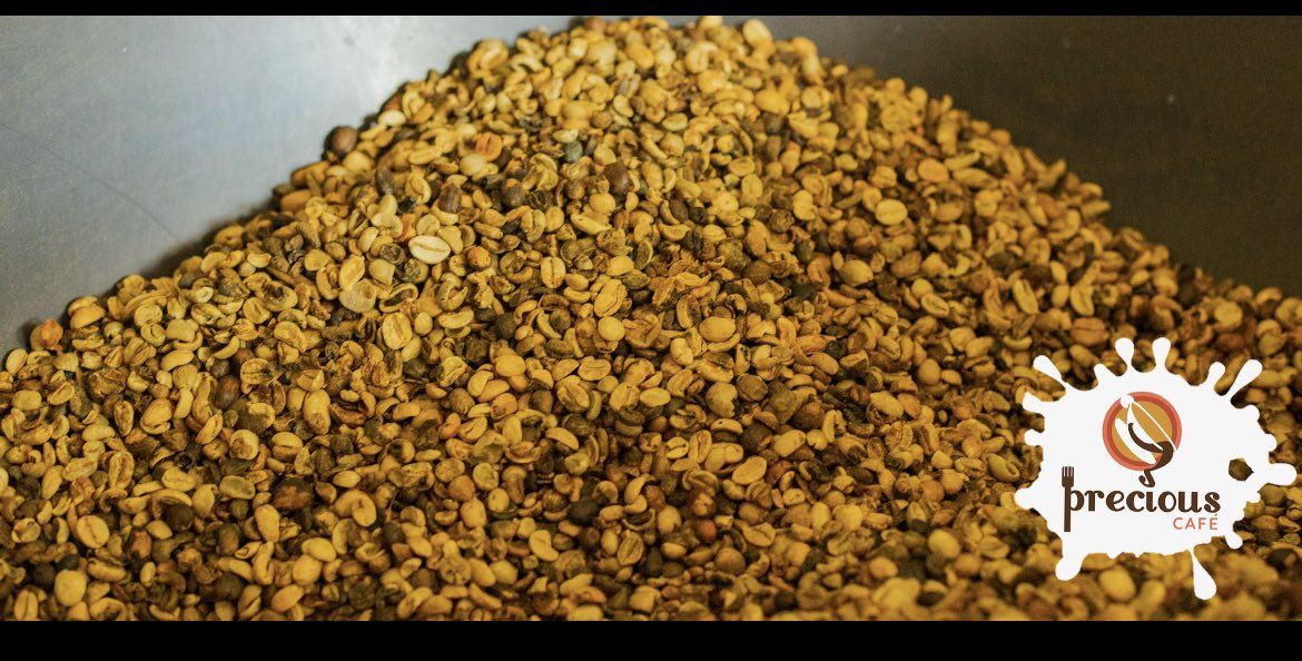 PreciousCafe19's tweet photo. Haitian coffee beans before roasted. https://t.co/8PjQf0VYAY