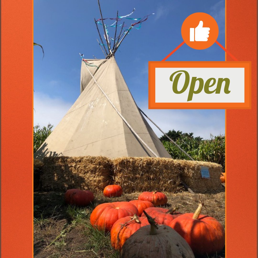 Come pick out your perfect pumpkins today. It's not too crowded so you can take your time and enjoy the farm and cooler weather. Open daily from 9am to 6pm. See you soon!🎃
#halfmoonbay #pumpkinfarm #pumpkinpatch #bayareadaytrip #dogfriendly🐕 #hayrides #perfectpumpkin #nocrowds