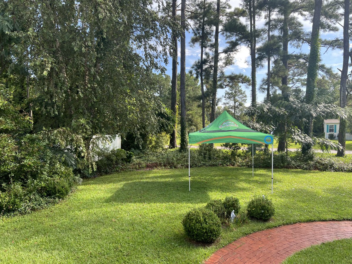 selmacyclepaths's tweet photo. Drying out … https://t.co/Jwosum62ul