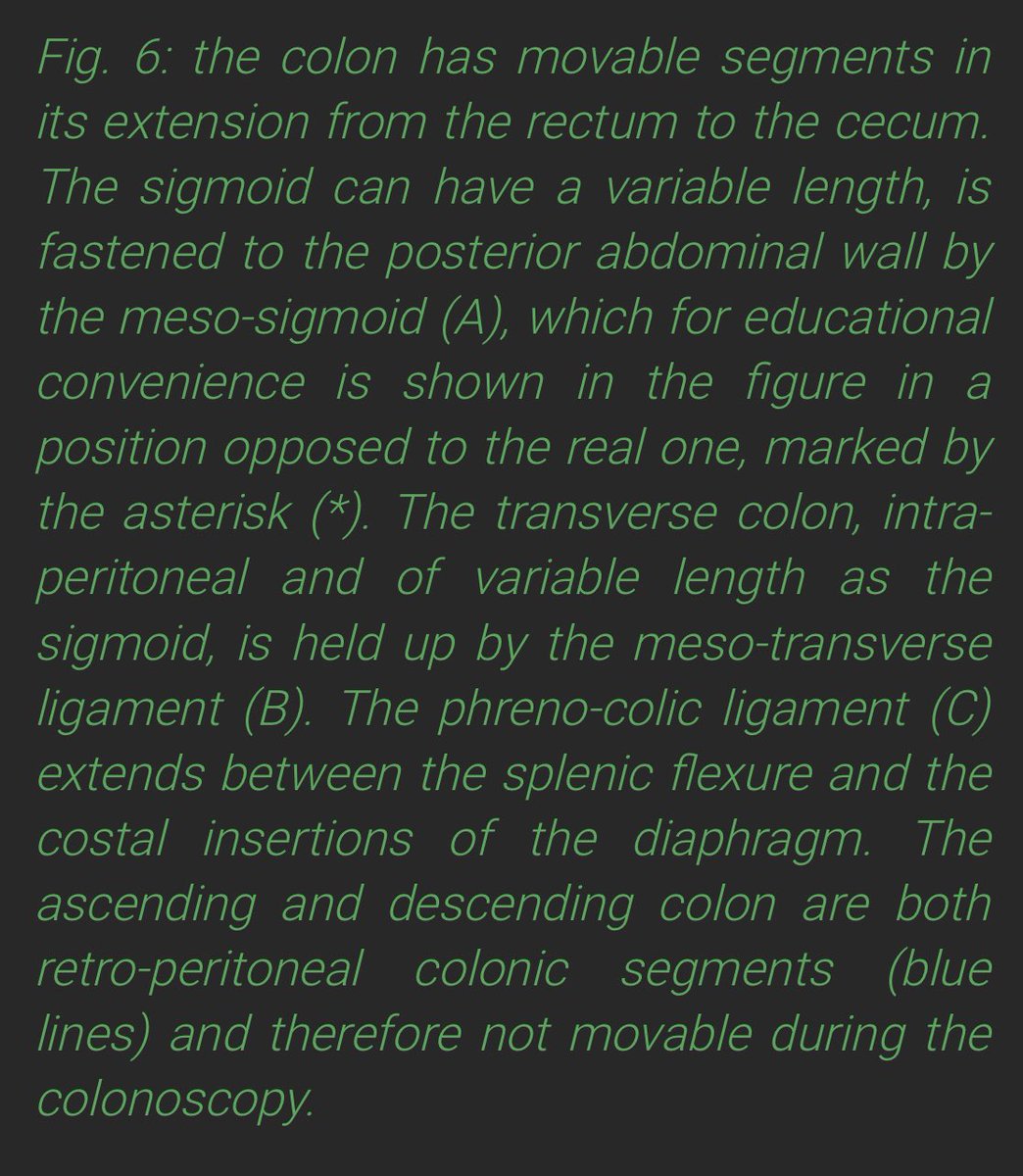 Understanding the 3D orientation of the colon is important in colonoscopy as it becomes clear why loops form, where to deliver abdominal pressure, and the effects of water insufflation and position change, etc. This is a brilliant guide 👍 #GITwitter 

endoscopy-colon-explorer.com/colon-3d-2/#li…