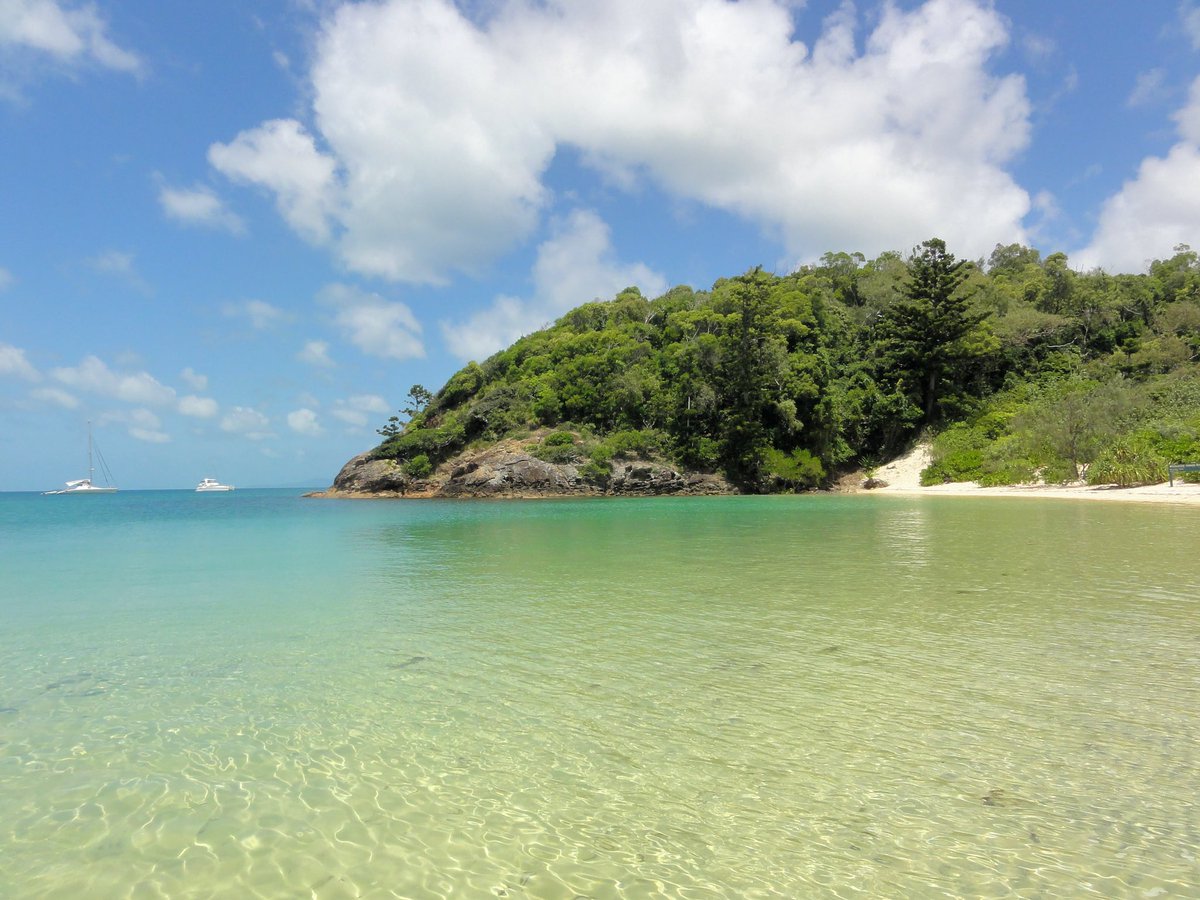 A gorgeous beach and cliff from Queensland Australia! 10/10 would relax here